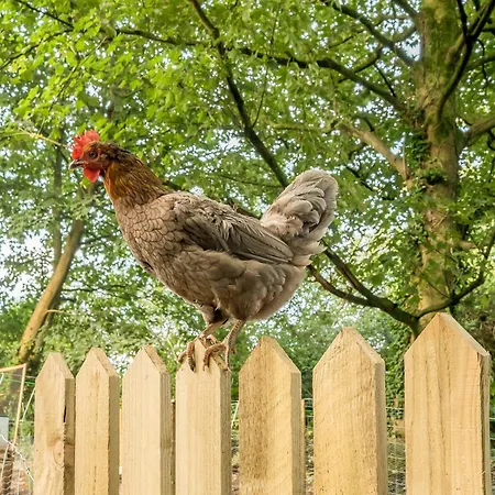 Casa de Férias Eden *