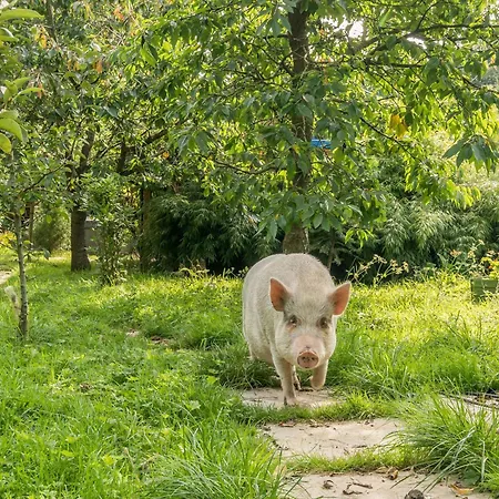 Casa de Férias Eden Bardsea